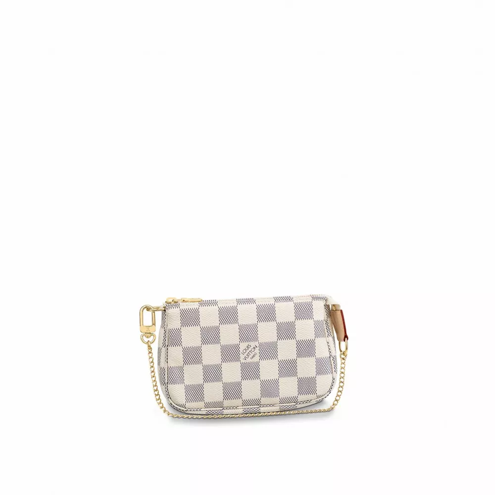 Affordable Louis Vuitton Mini Pochette Accessoires N58010 0119