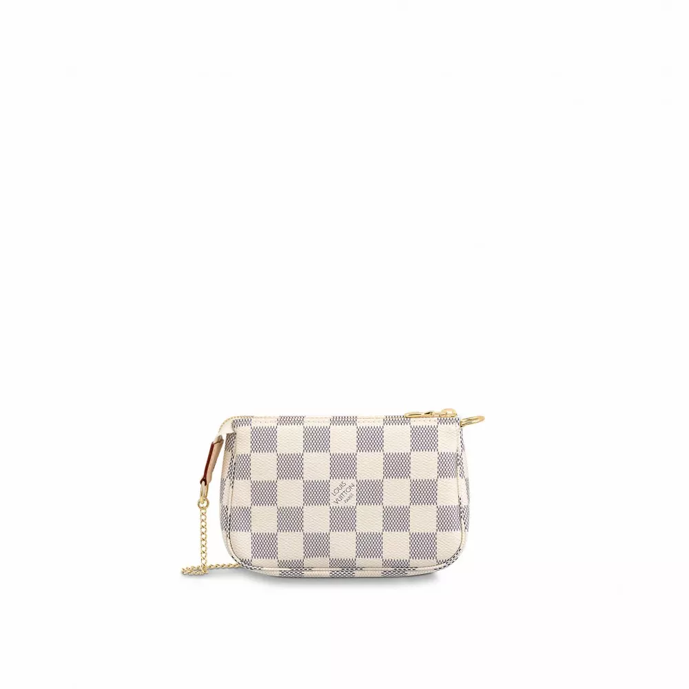 Louis Vuitton Mini Pochette Accessoires N58010 0119