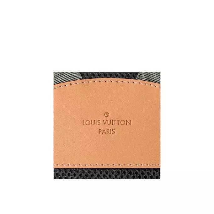 Affordable Louis Vuitton Backpack PM M43882 0121